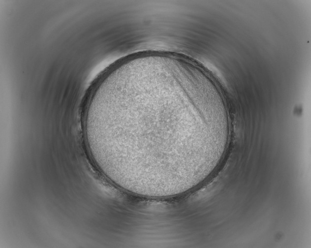 X0000091511070200709141350