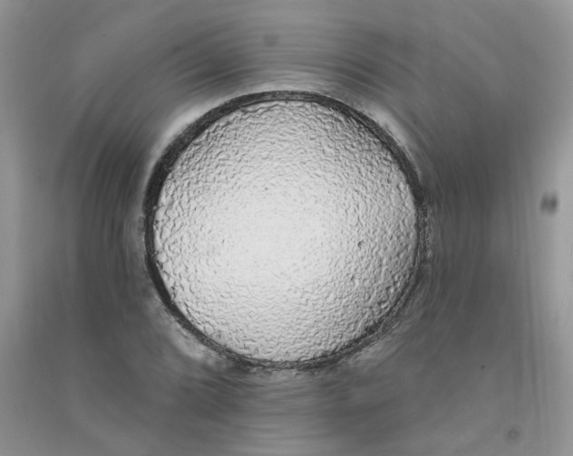 X0000091511072200709141350