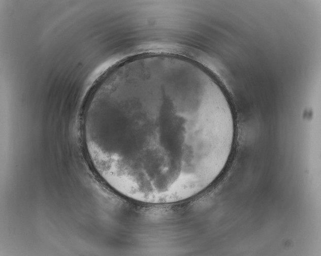 X0000091511074200709141350