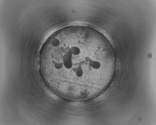 X0000091511075200709141350