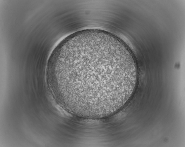 X0000091511076200709141350