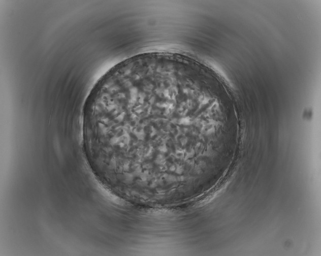 X0000091511079200709141350