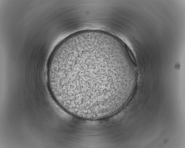 X0000091511080200709141350