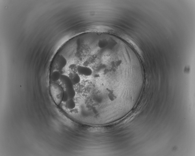 X0000091511083200709141350