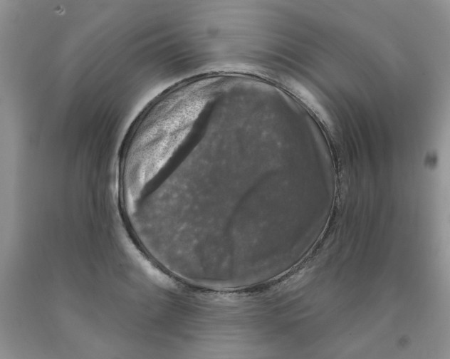 X0000091511084200709141350