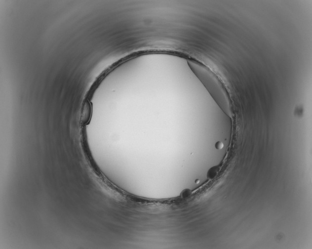 X0000091511085200709141350