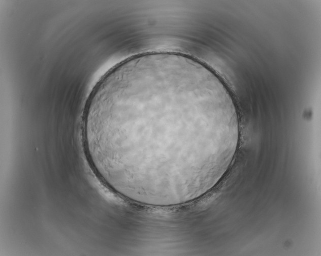 X0000091511086200709141350