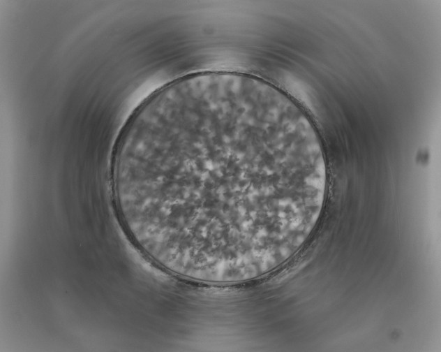 X0000091511087200709141350