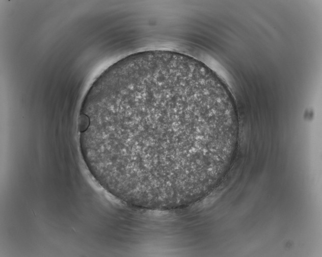 X0000091511088200709141350