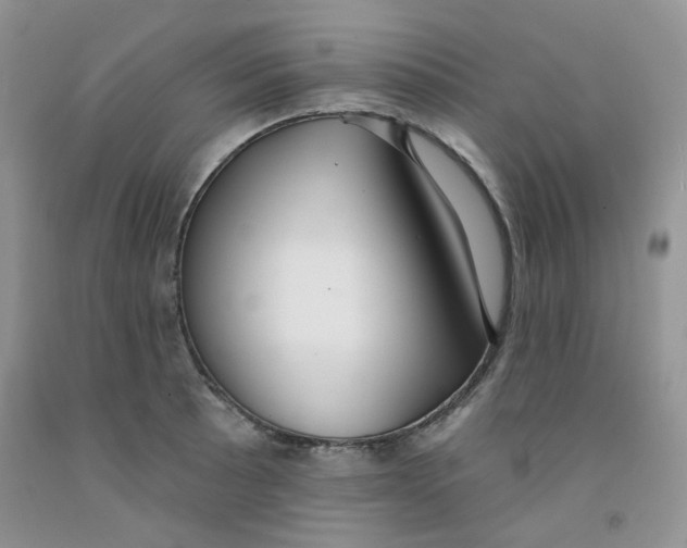 X0000091511089200709141350