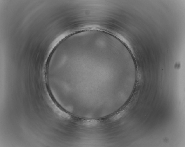 X0000091511090200709141350