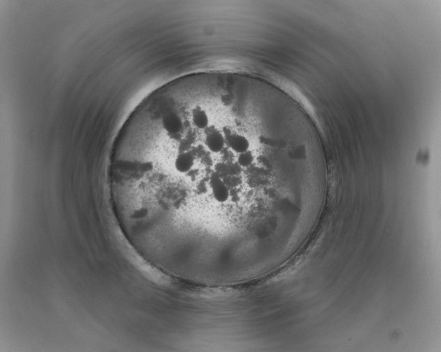 X0000091511091200709141350