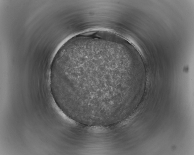 X0000091511092200709141350