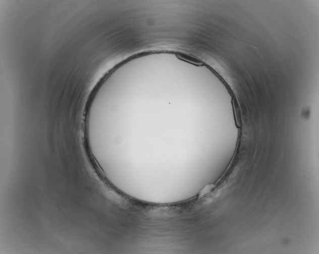 X0000091511093200709141350