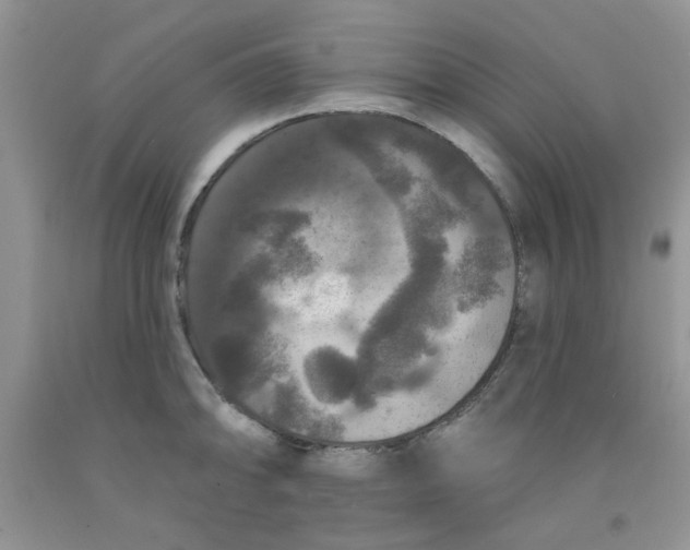 X0000091511094200709141350