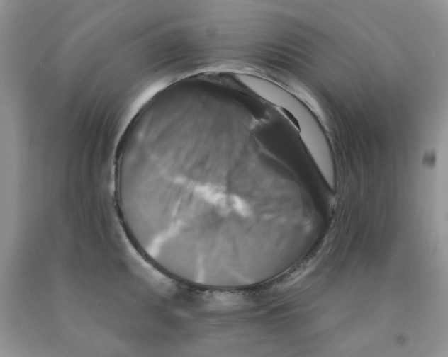 X0000091511095200709141350