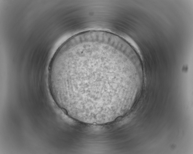 X0000091511096200709141350