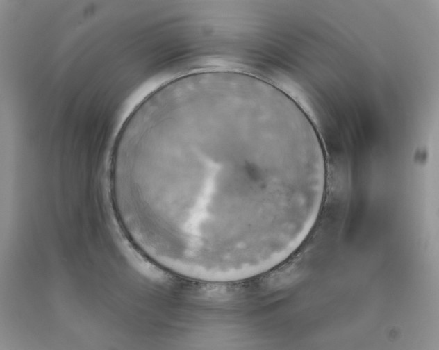 X0000091511098200709141350