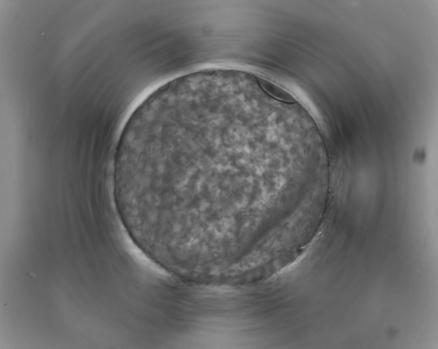 X0000091511100200709141350