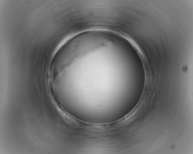 X0000091511101200709141350