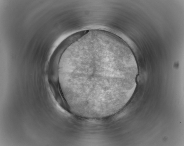 X0000091511102200709141350