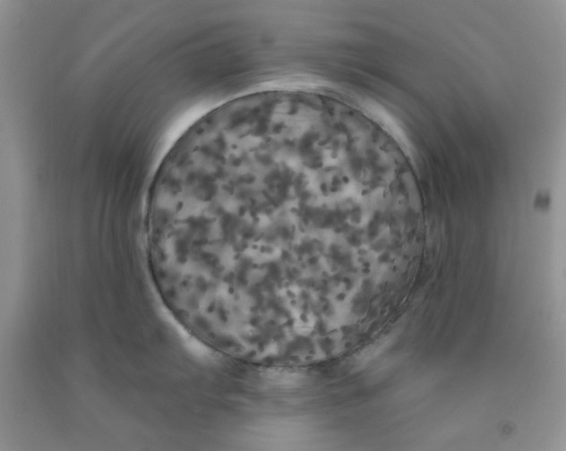 X0000091511103200709141350