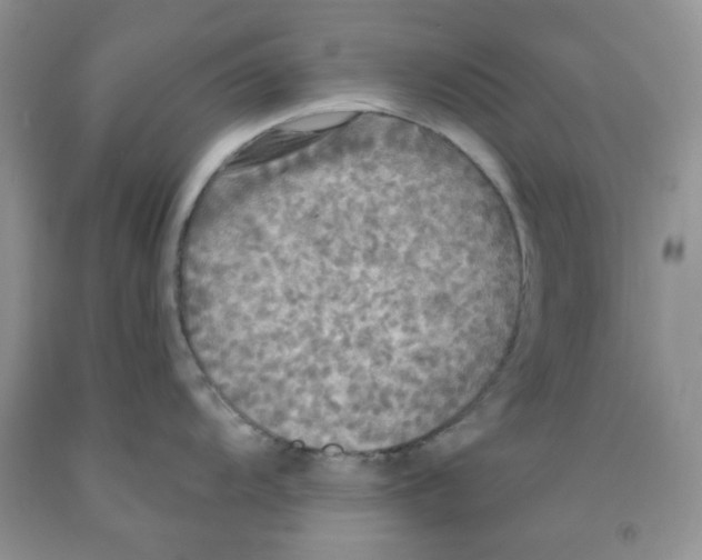 X0000091511104200709141350