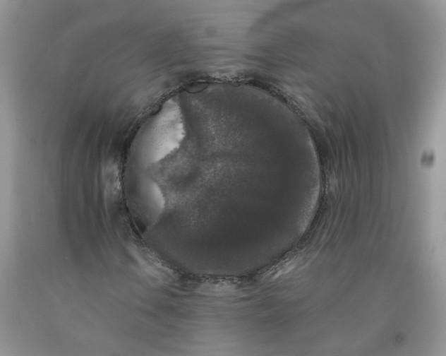 X0000091511106200709141349