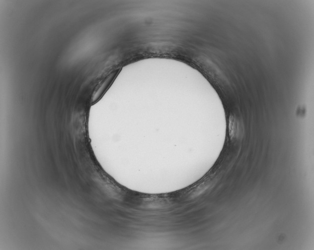 X0000091511107200709141349