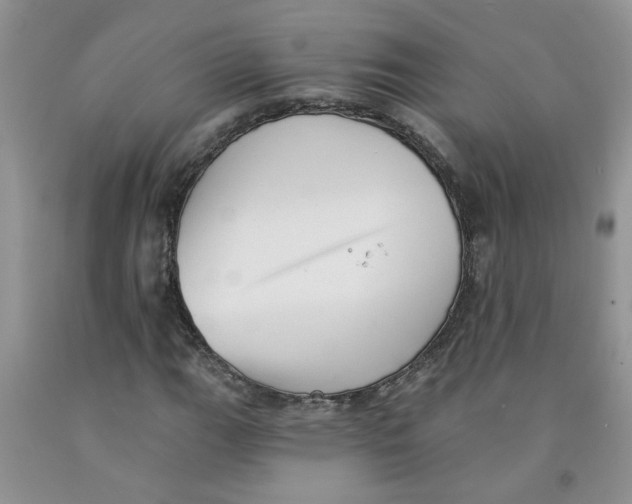 X0000091511111200709141349