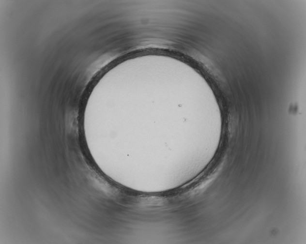 X0000091511113200709141349