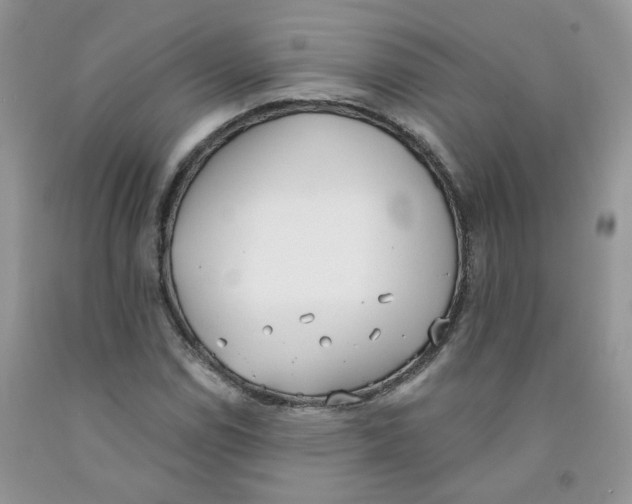 X0000091511114200709141349