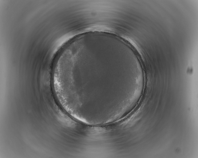 X0000091511115200709141349