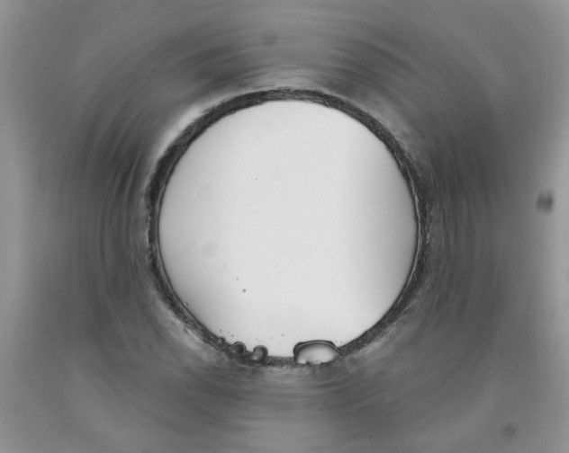 X0000091511118200709141349