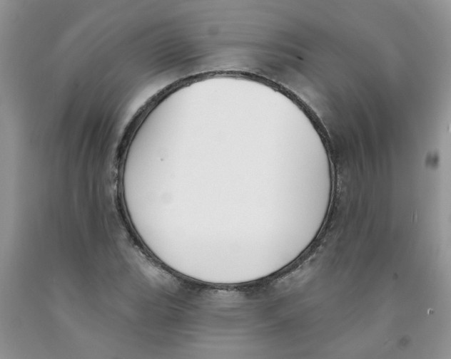 X0000091511119200709141349