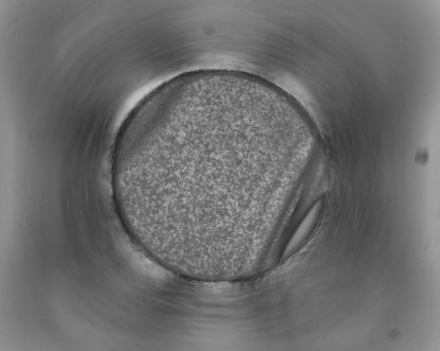 X0000091511120200709141349