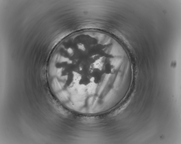 X0000091511121200709141349