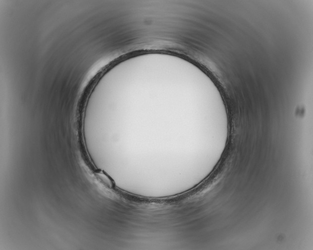 X0000091511122200709141349