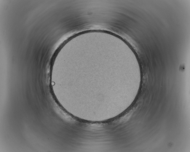 X0000091511126200709141350