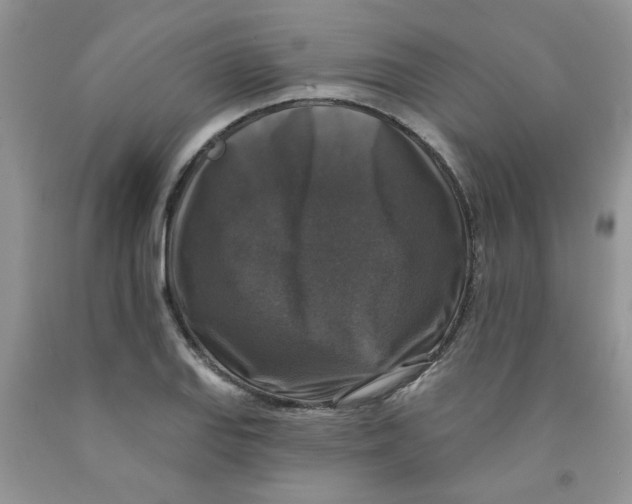 X0000091511127200709141350