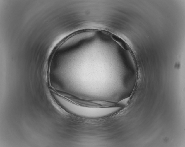 X0000091511128200709141350