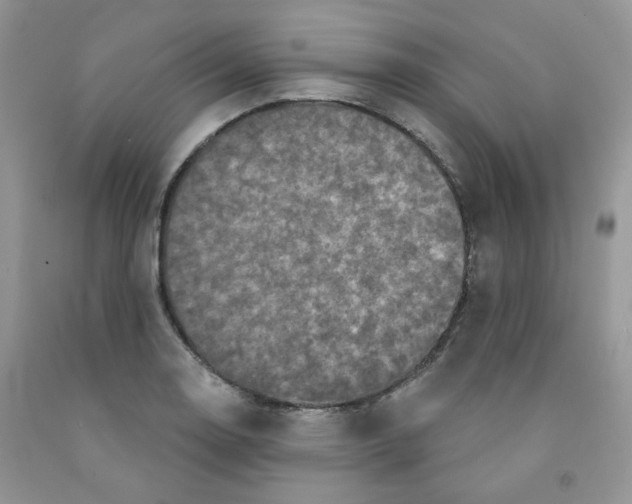 X0000091511130200709141350