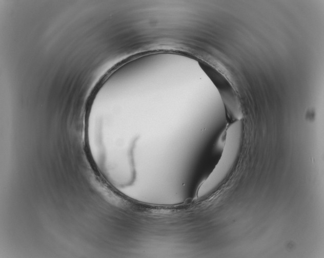 X0000091511132200709141350