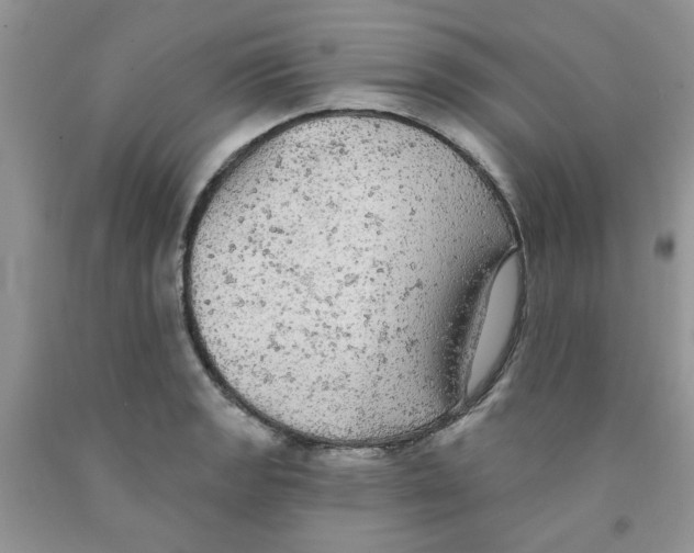 X0000091511133200709141350