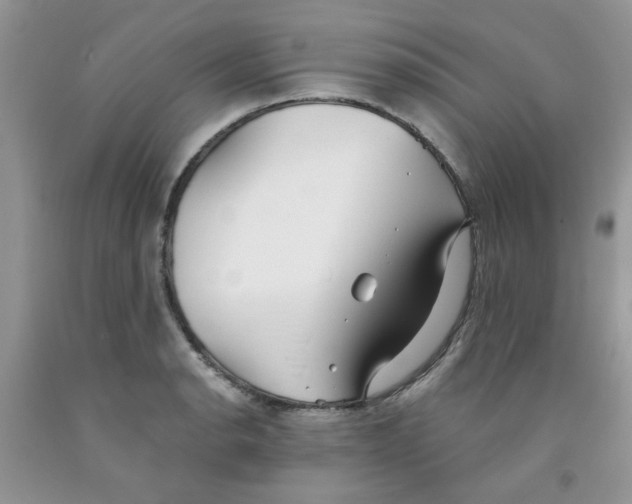 X0000091511134200709141350