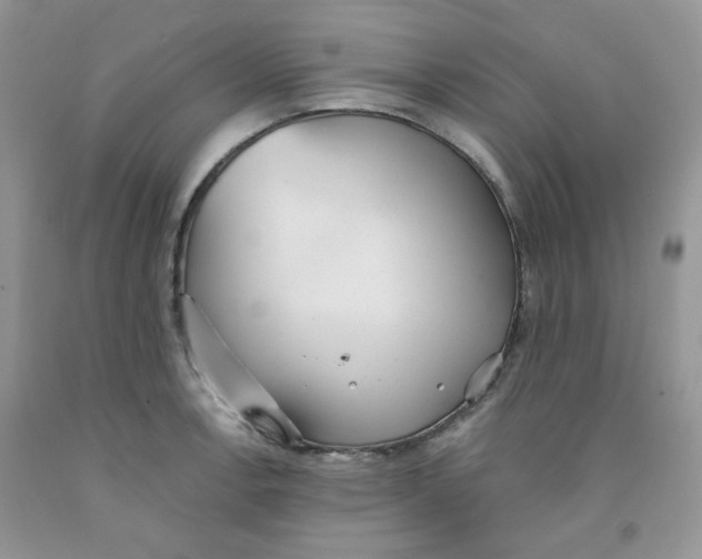 X0000091511138200709141350