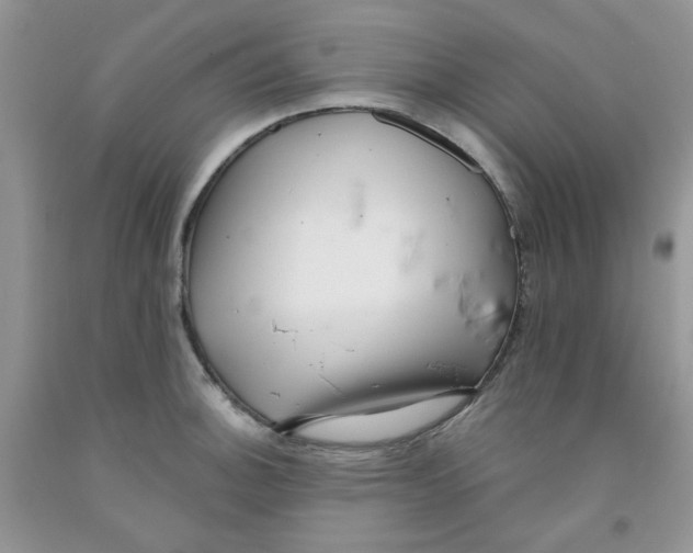 X0000091511140200709141350