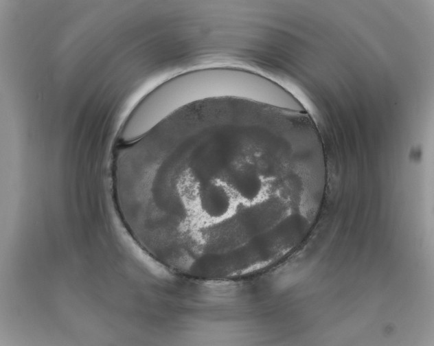 X0000091511142200709141350