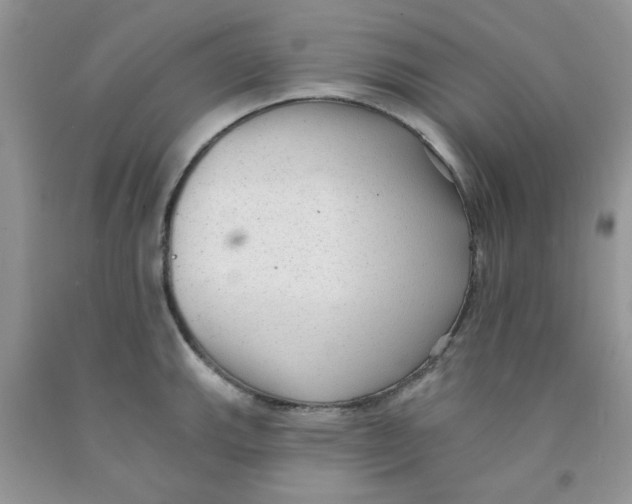 X0000091511143200709141350