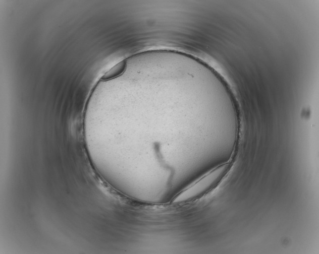 X0000091511145200709141350